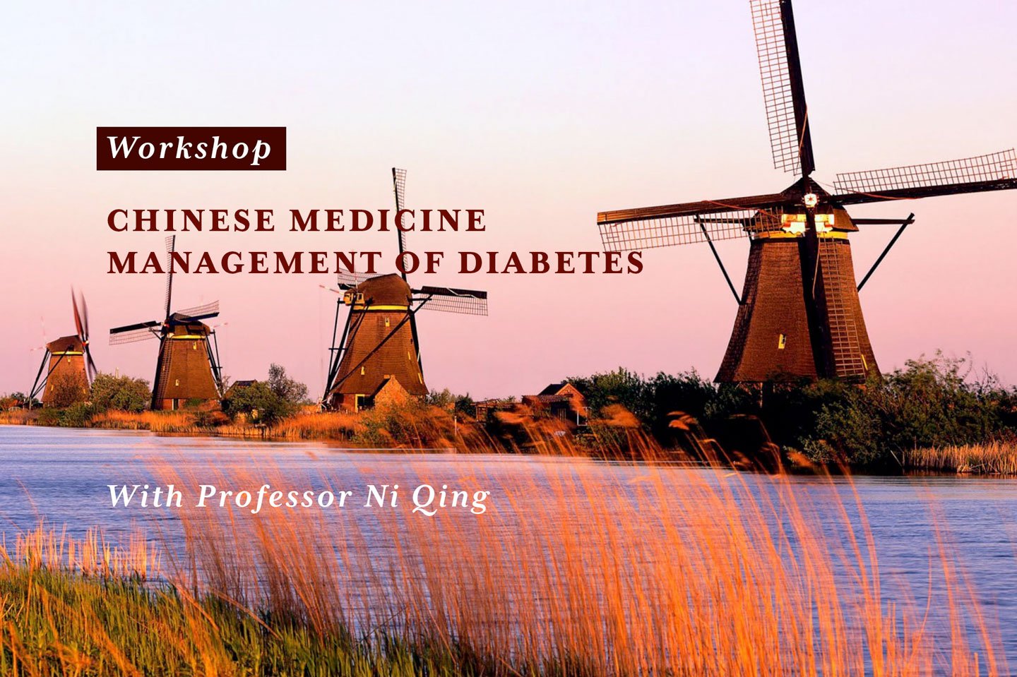 Diabetes Workshop