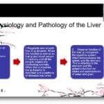 Screenshot-2025-11-06-at-10.39.54 Screenshot from Kong Guang Yi webinar part 2