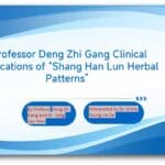 screenshot from Jing Fang Herbal Patterns webinar