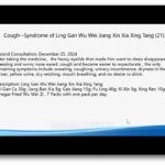 screenshot from Jing Fang Herbal Patterns webinar