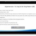 screenshot from Jing Fang Herbal Patterns webinar