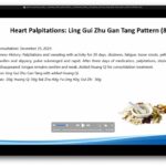 screenshot from Jing Fang Herbal Patterns webinar
